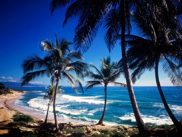 dominican-republic1