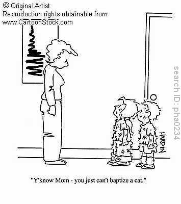 Baptize a Cat